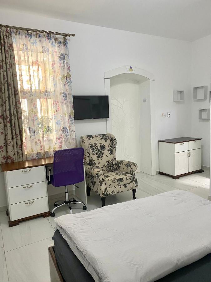 Confort House Lugoj Zewnętrze zdjęcie